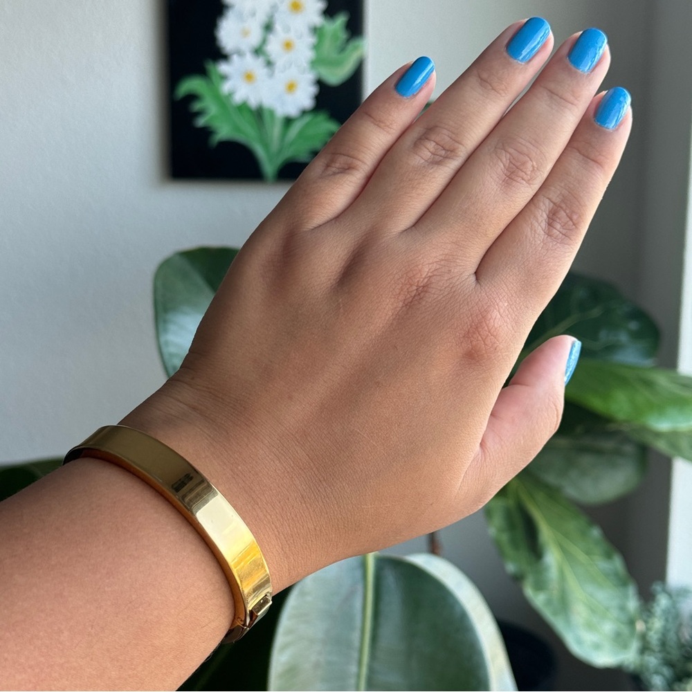 J Crew Thick Gold Tone Hinged Bangle Bracelet
